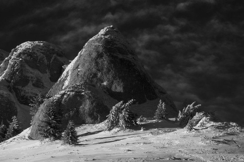 2021 фото превью