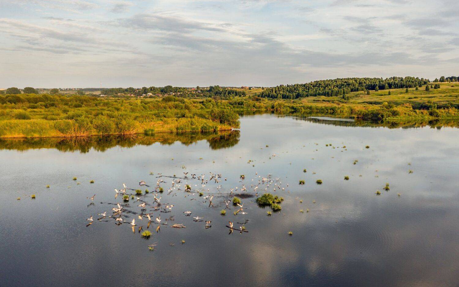 Курганская Шадринск Зауралье Исеть, Кутыгин Эдуард