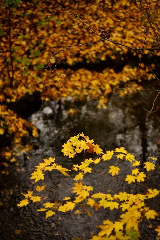 Осенняя река фото превью