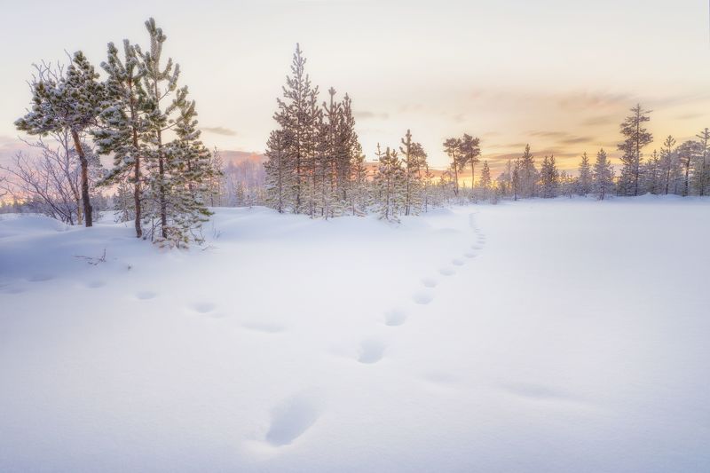пейзаж, природа россии, полярный день, мурманск, север, красота природы, снег, зима, зимний пейзаж Полярный день, Мурманская область фото превью