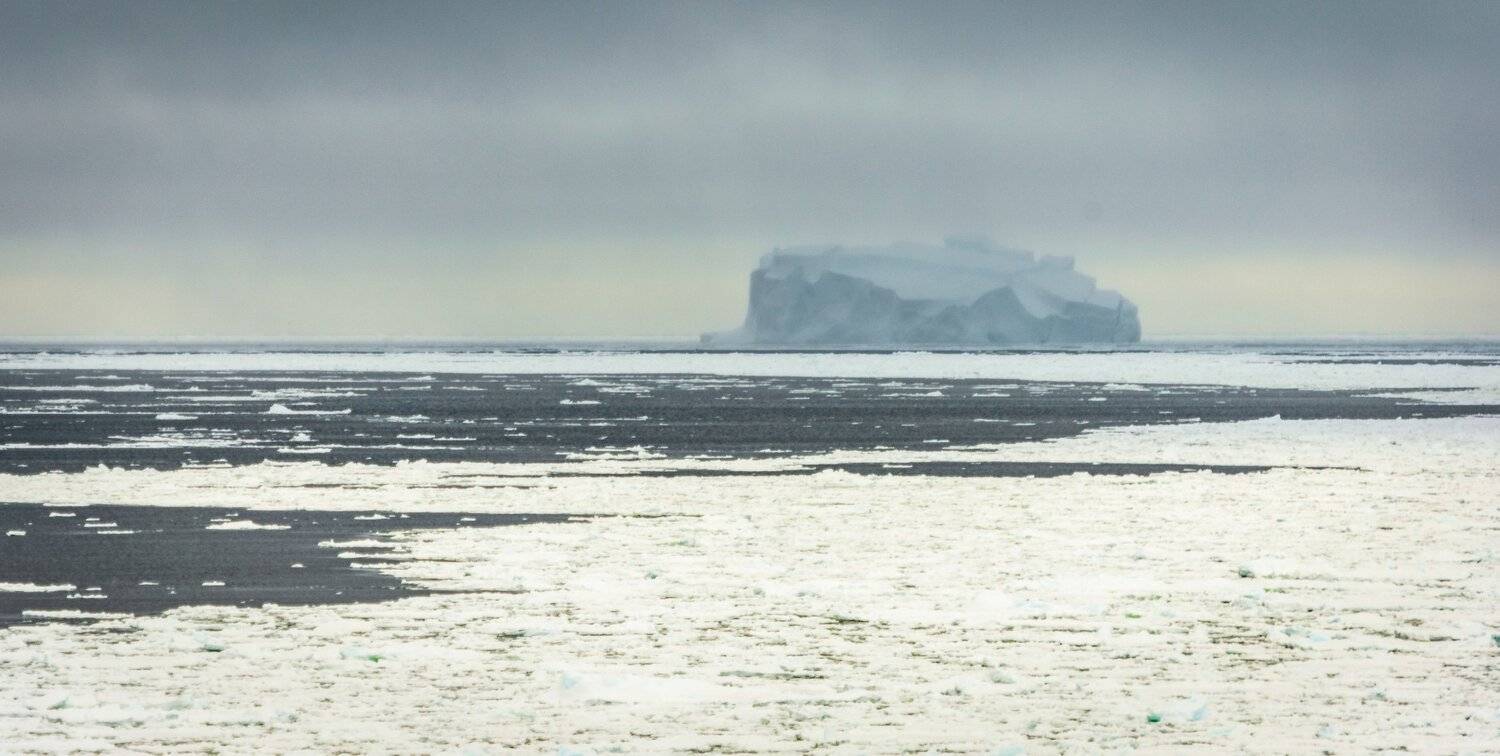 , Игорь Приданников