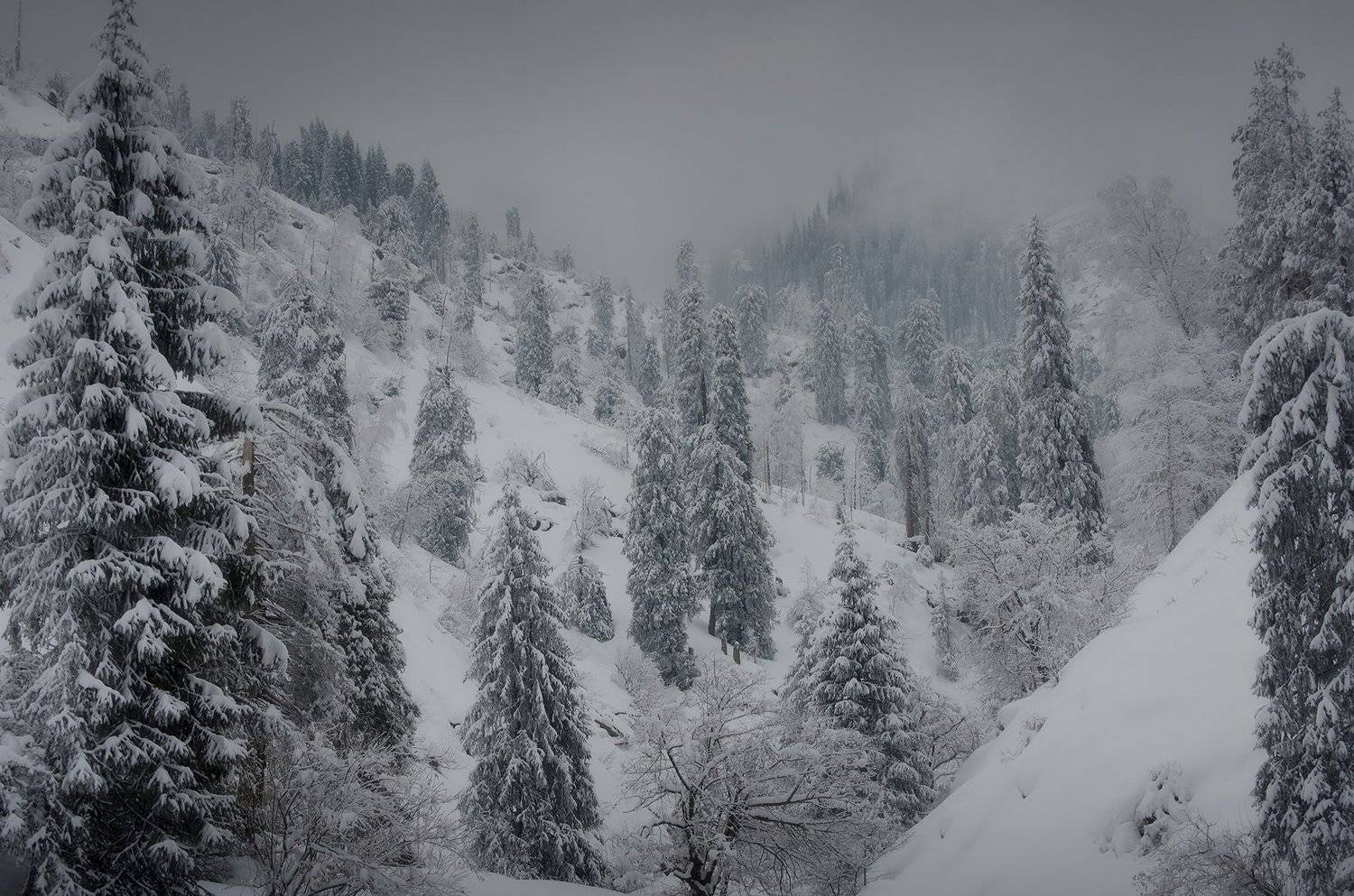 , Евгений Зинов