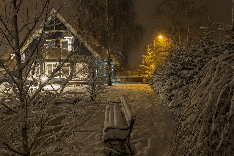 Winter Garden фото превью
