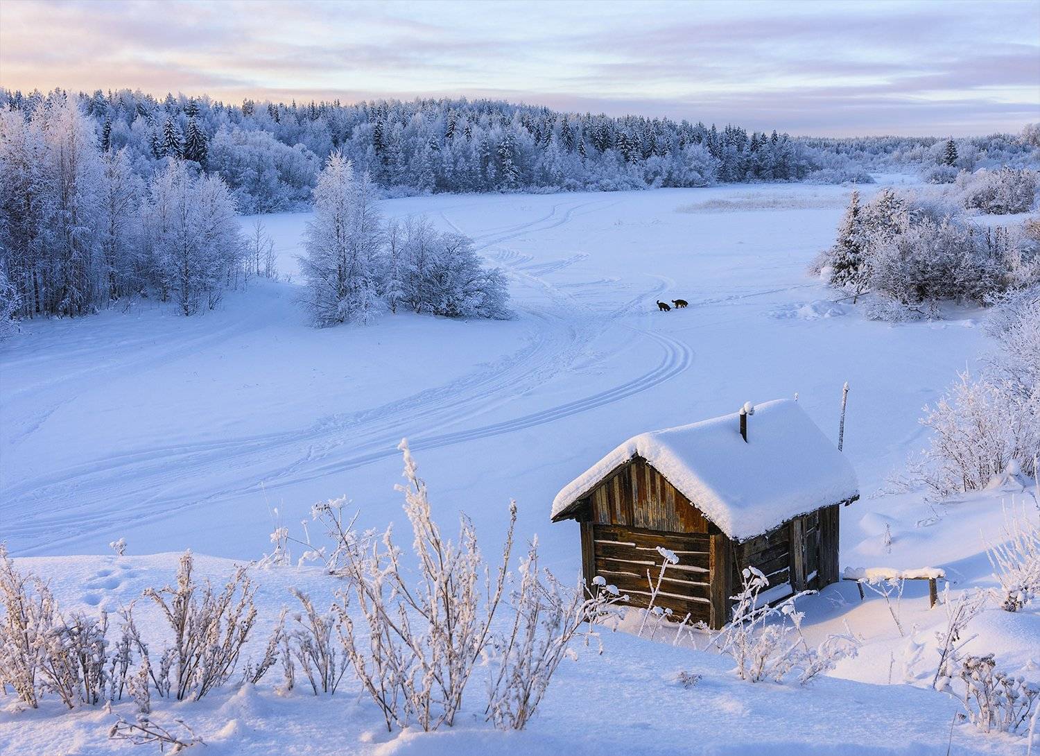 зима, снег, река, берег, банька, лес, деревья, иней, следы, собаки, Ра Вера