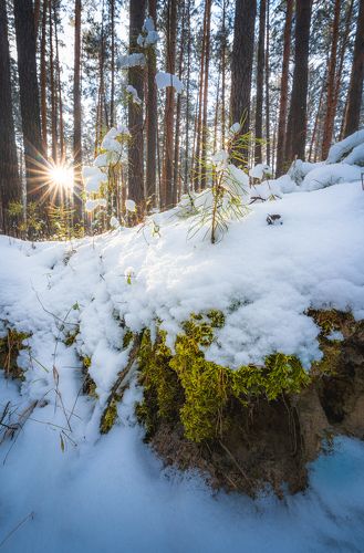 First steps of the winter