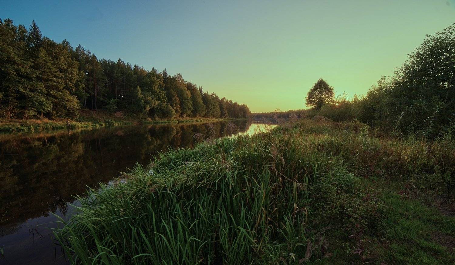 , Александр Фанковин