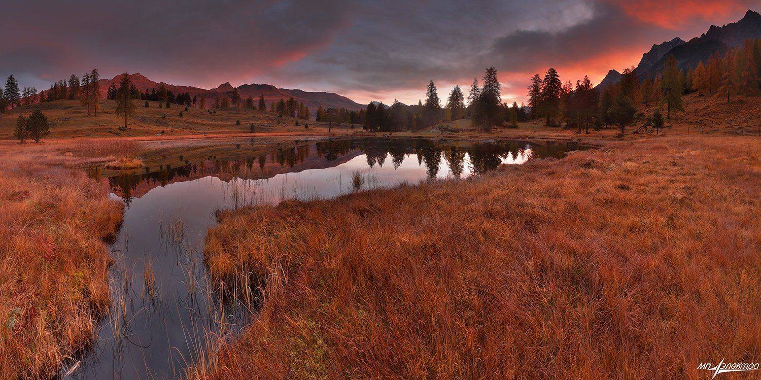 swiss, Матвеев Николай