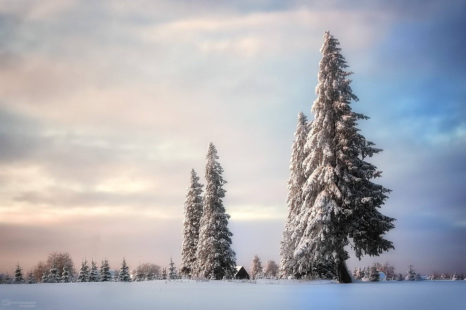 , Антон Кошетаров