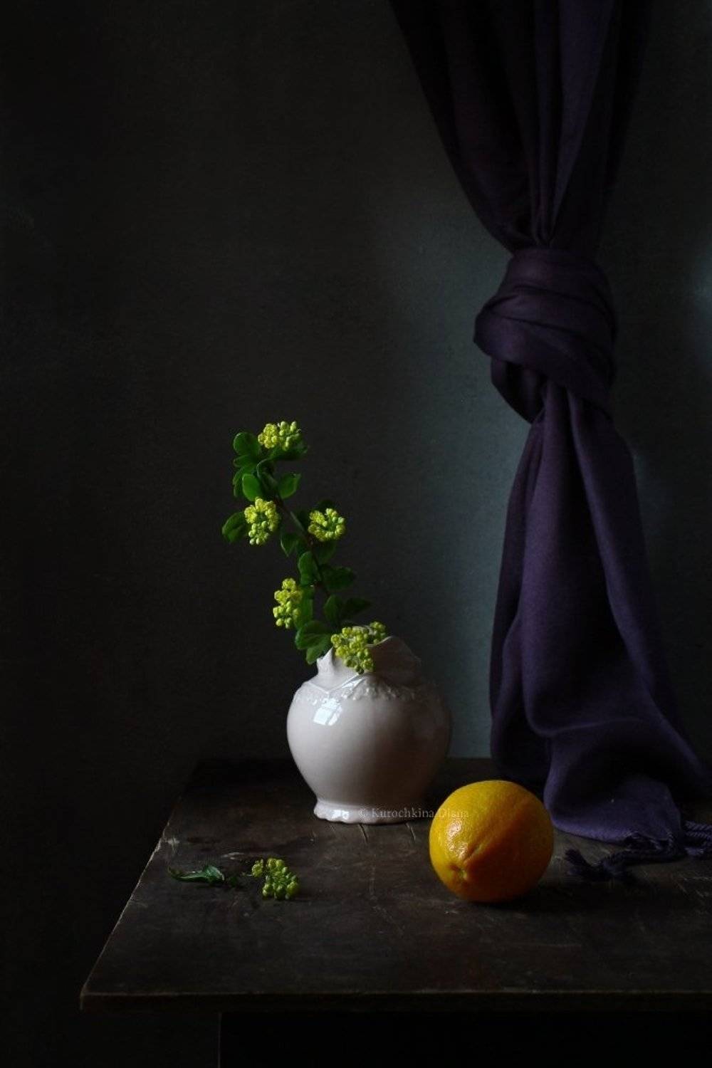 натюрморт, лимон, барбарис, Курочкина Диана