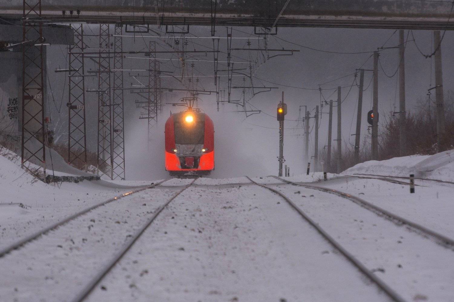 поезд экспресс москва ласточка, Руслан Сигушин