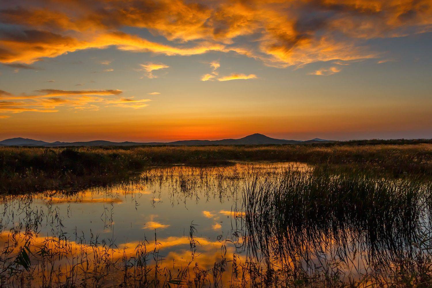 Приморский край, пейзаж, Тамара Морозова
