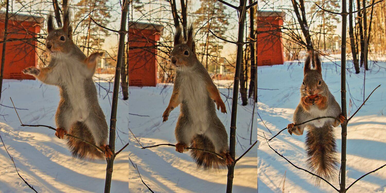 , Олег Резенов