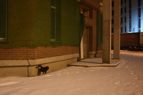 В районе новостроек