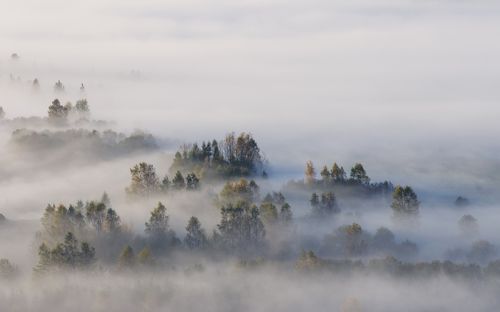 Pieniny Mountain