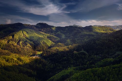 Уходящий свет