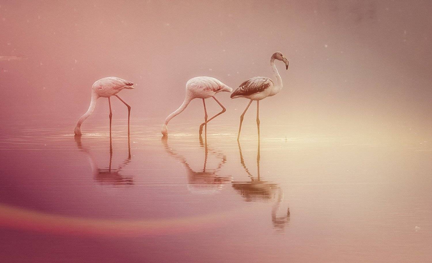 , Григорий Крамаренко