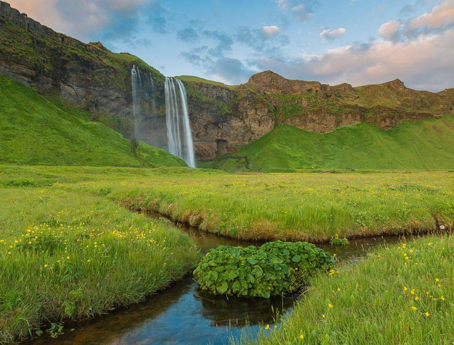 , Александр Подрез