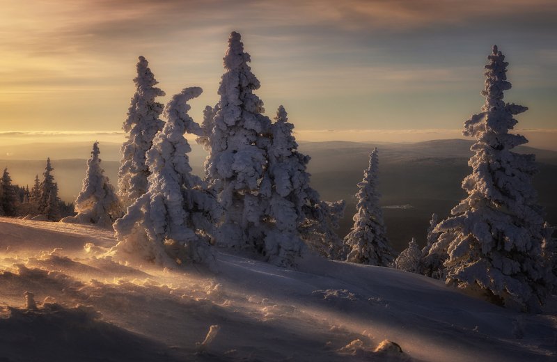 Вечерняя поземка фото превью