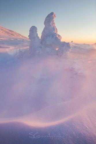 Нежная поземка