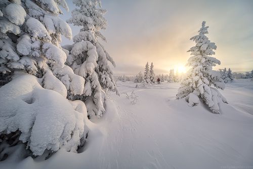 Главный Уральский Хребет