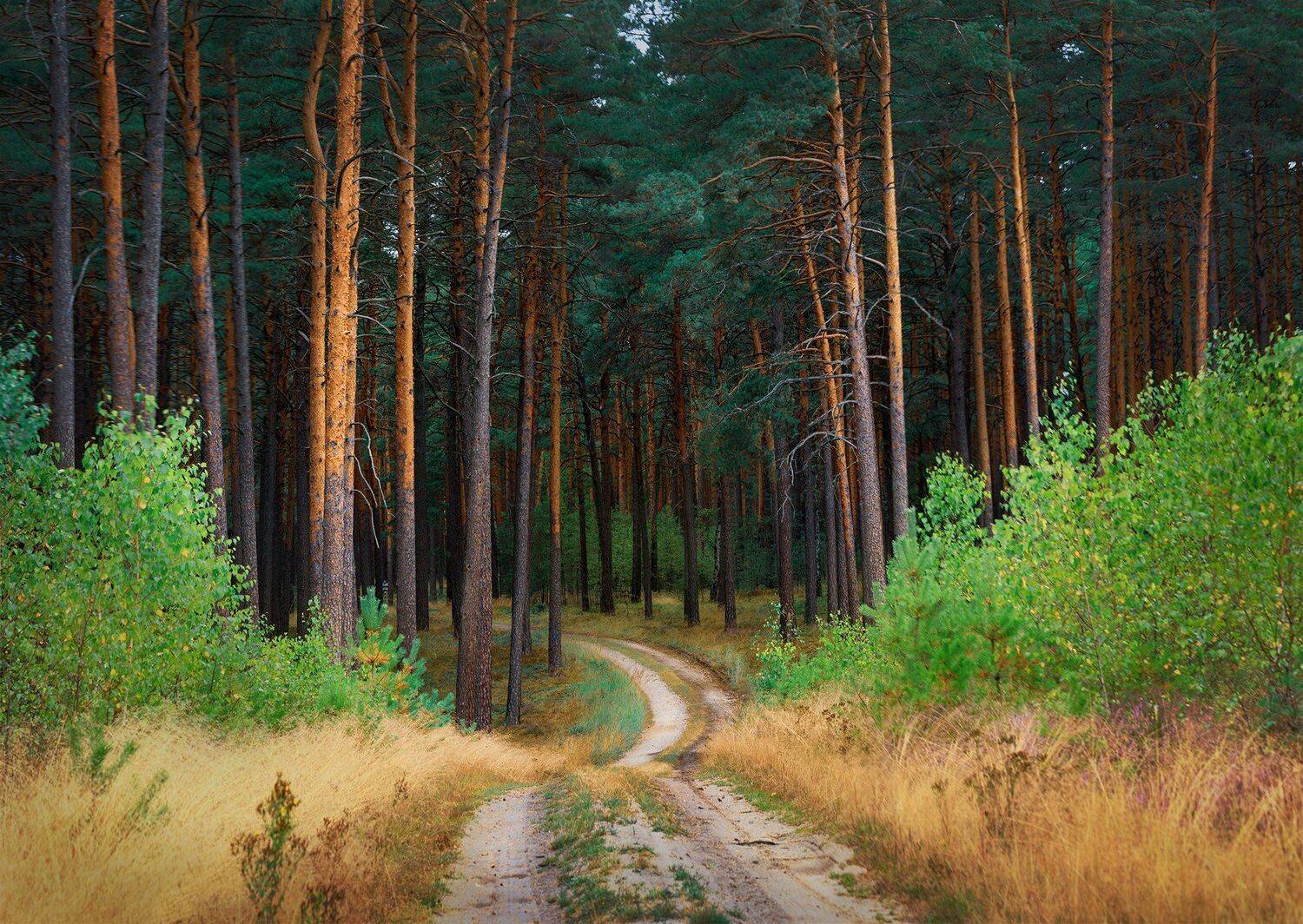 , Marcin Krasowski