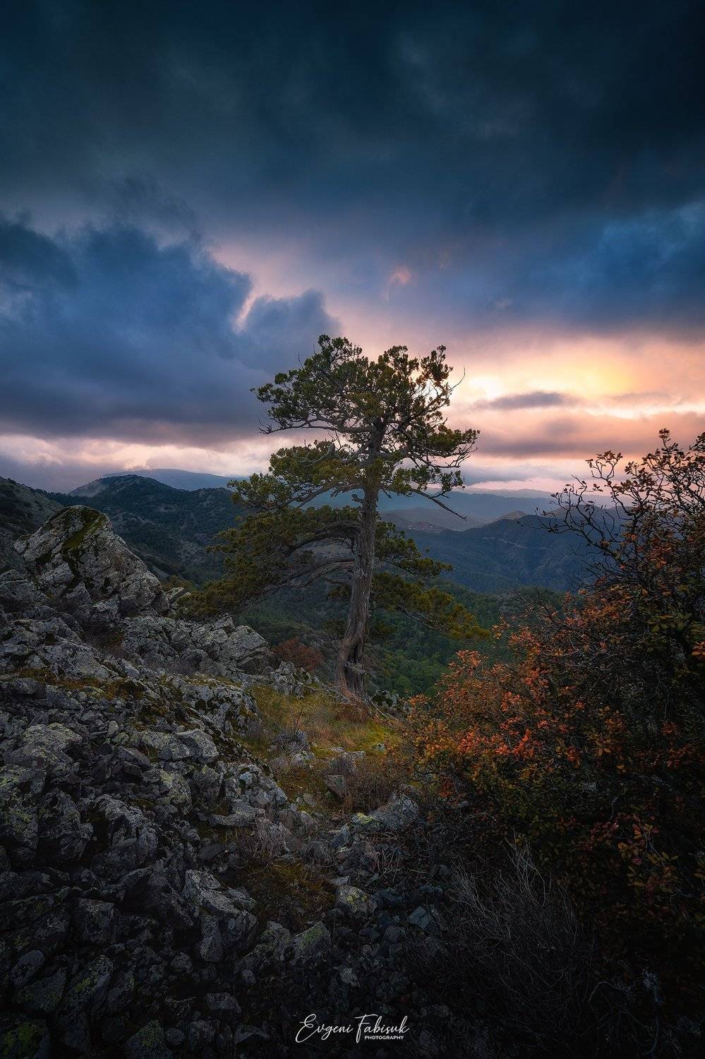 , Evgeni Fabis