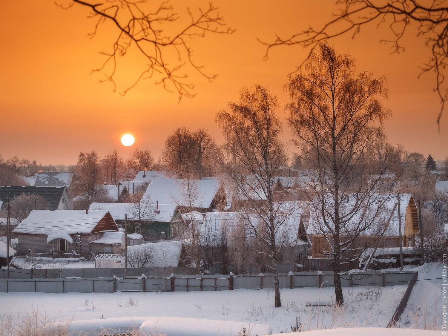 валдай, Тимофей Шутов