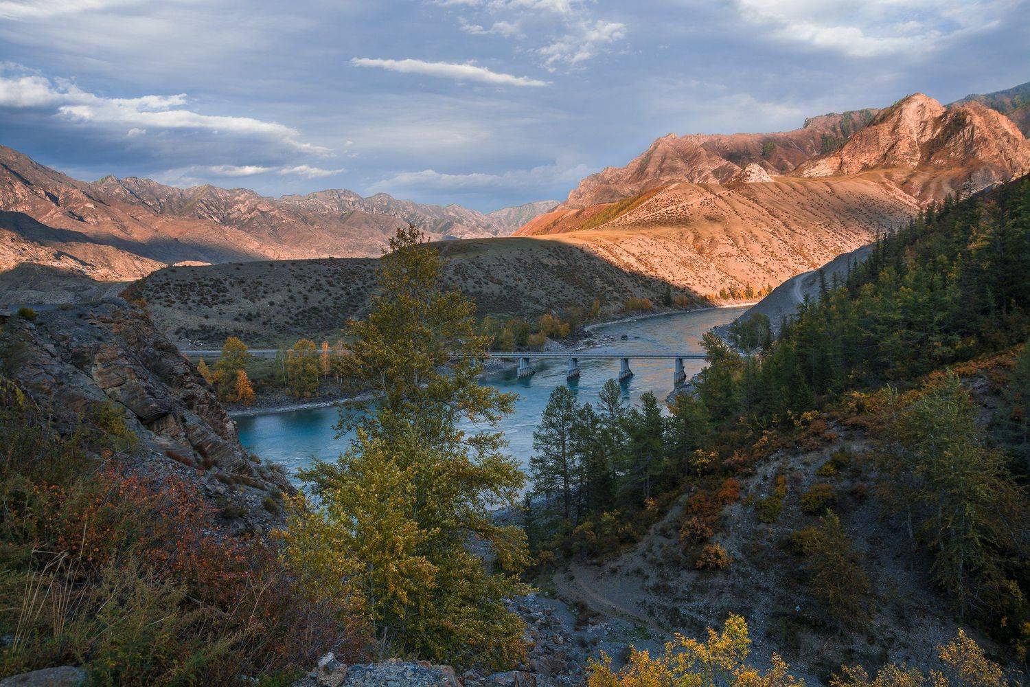 россия, горный алтай, река катунь, осень, вечер, Андрей Поляков