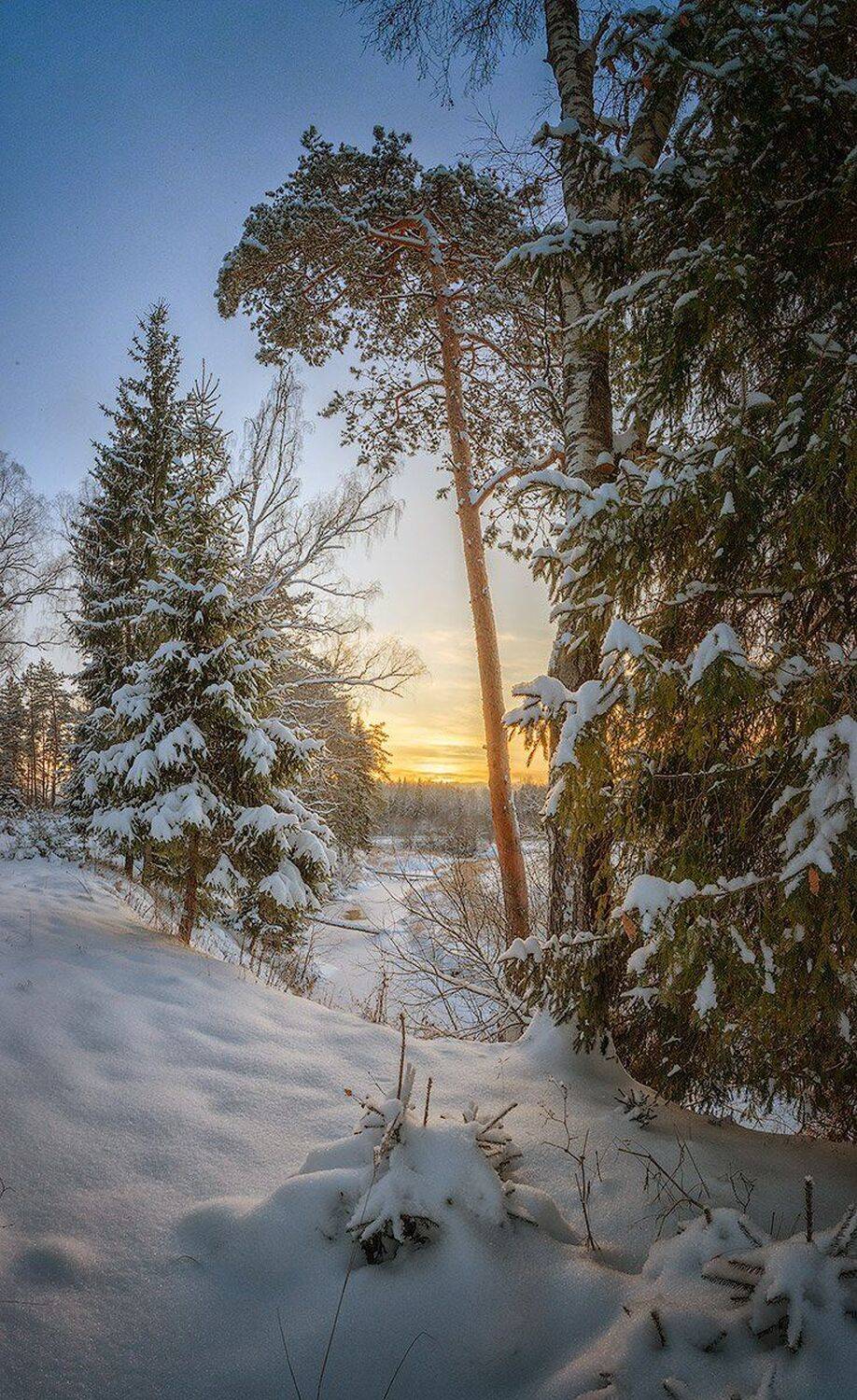 , Николай Андреев
