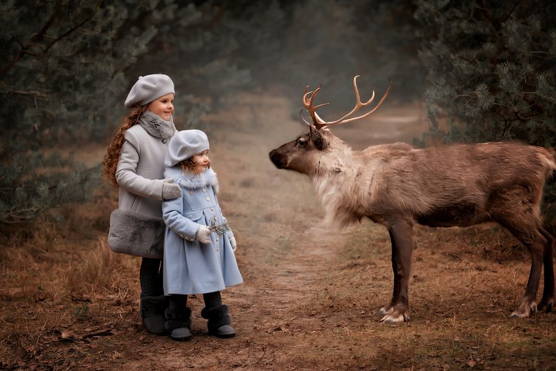 детский фотограф Сказка фото превью