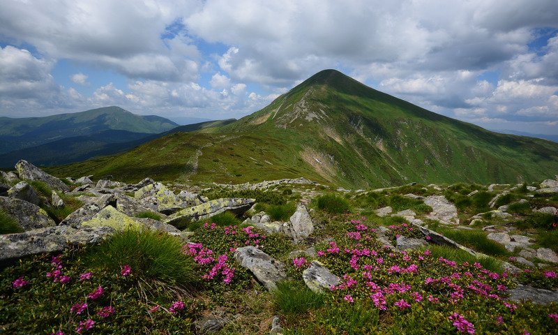 карпаты, говерла, carpathian, hoverla Говерла фото превью