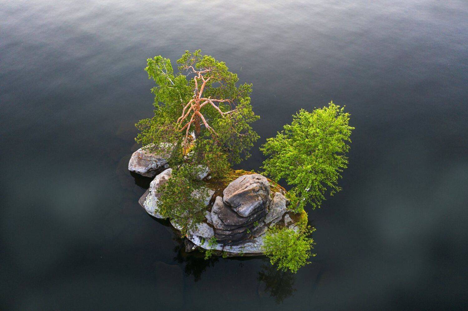 Таватуй Урал, Кутыгин Эдуард