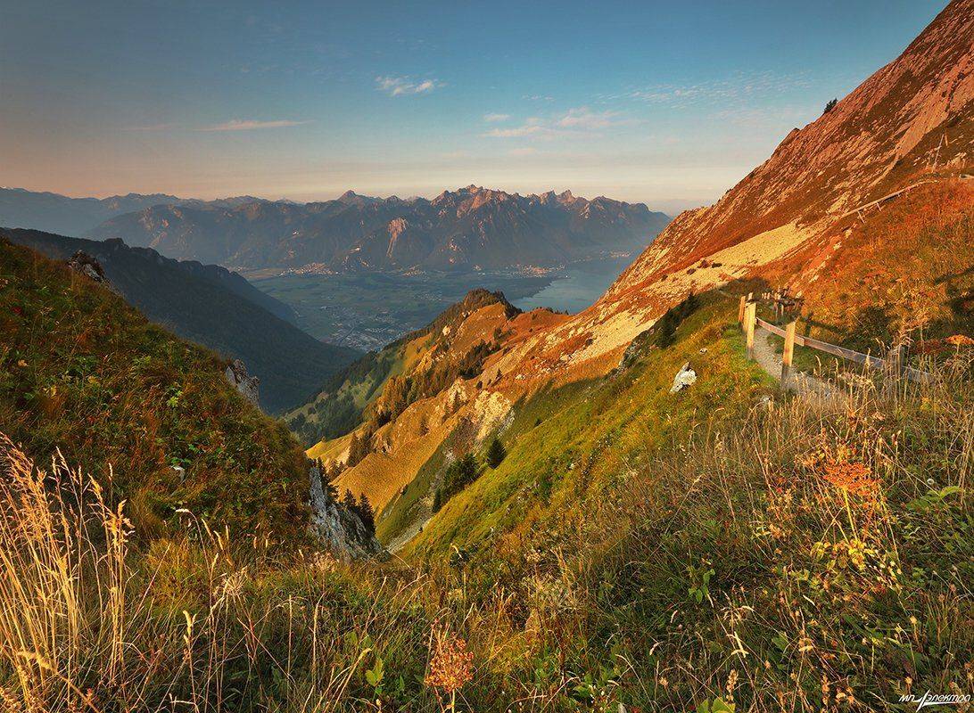 swiss, Матвеев Николай