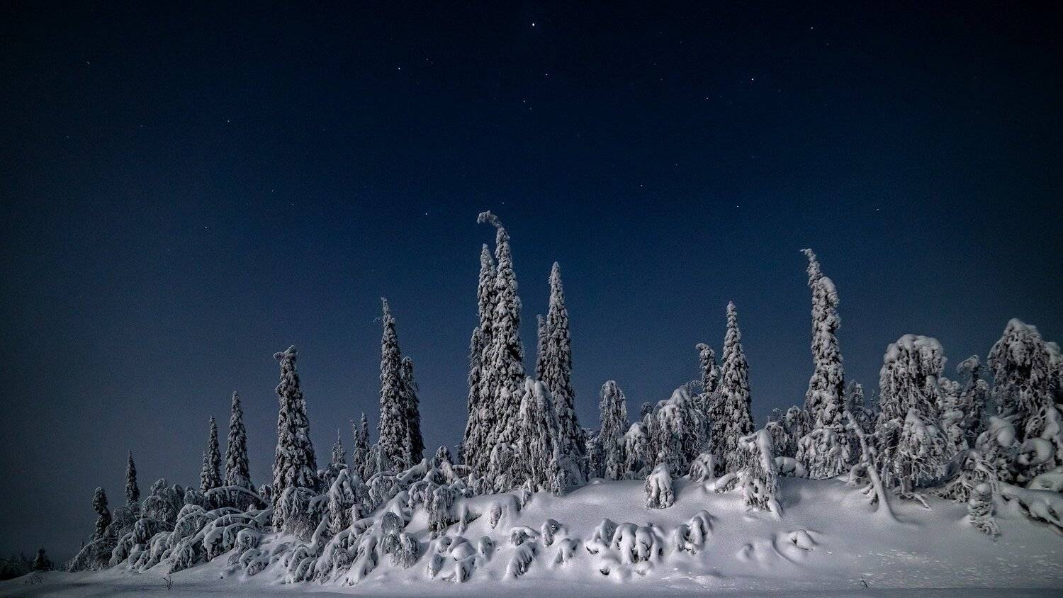 север, кольский, заполярье,, Роман Горячий