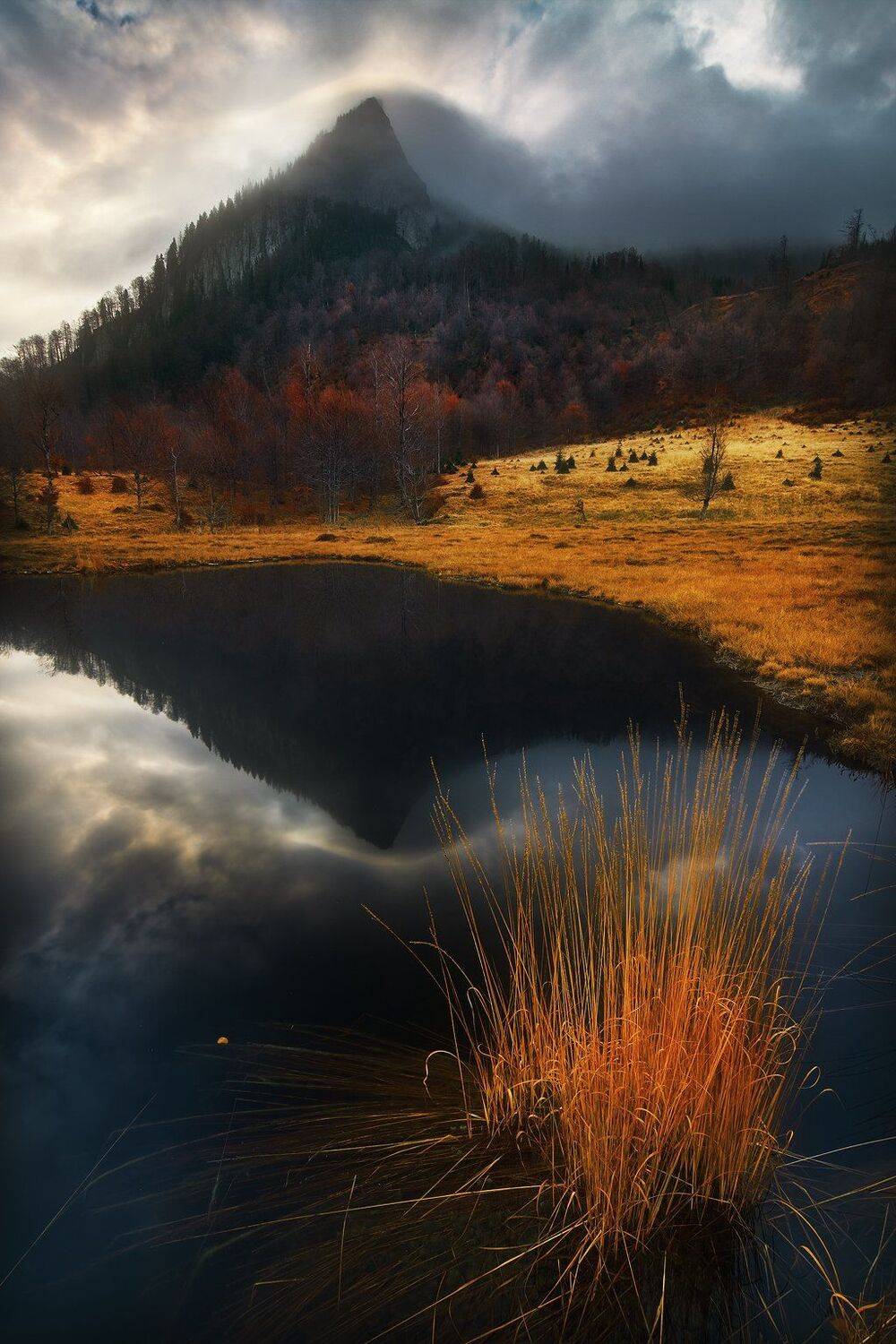 , Szabo Zsolt Andras