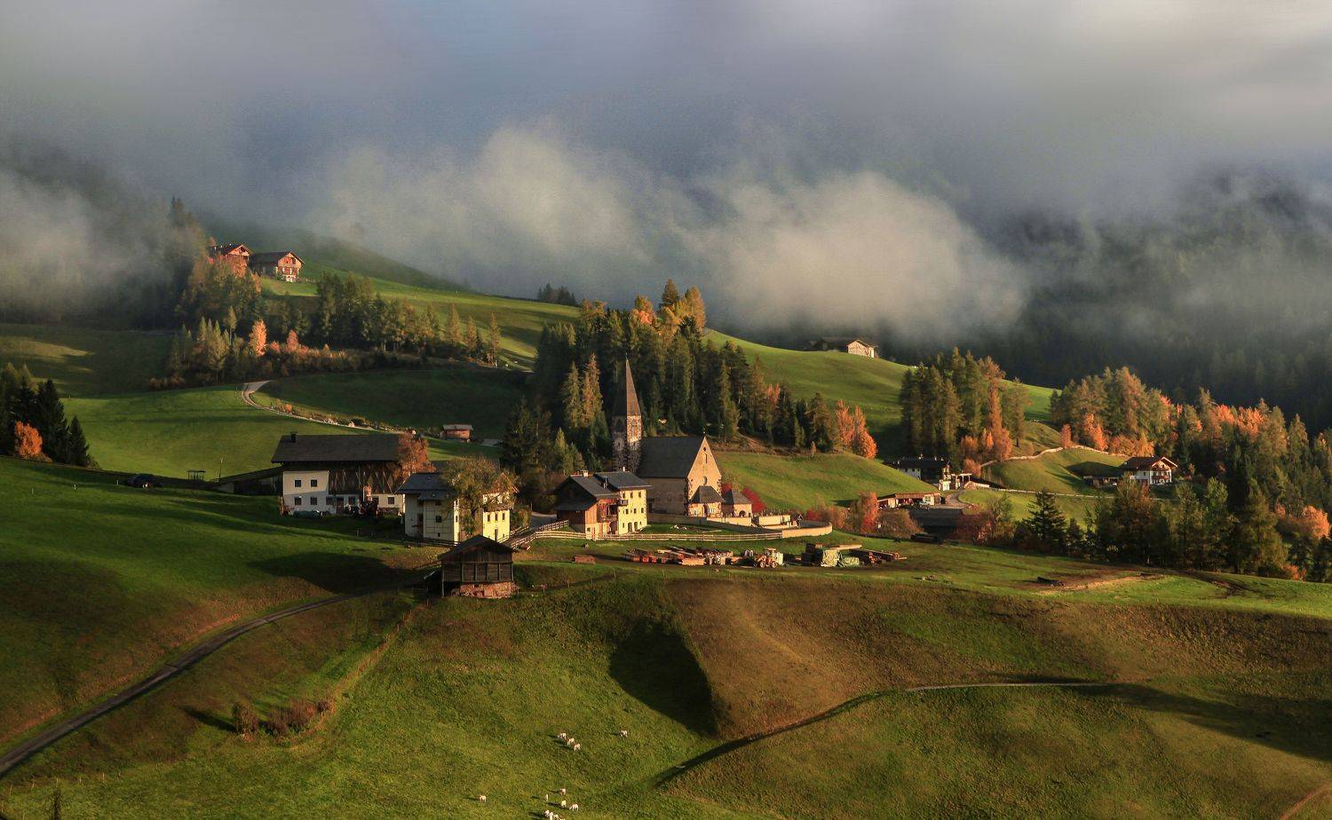 , Милокост Алексей