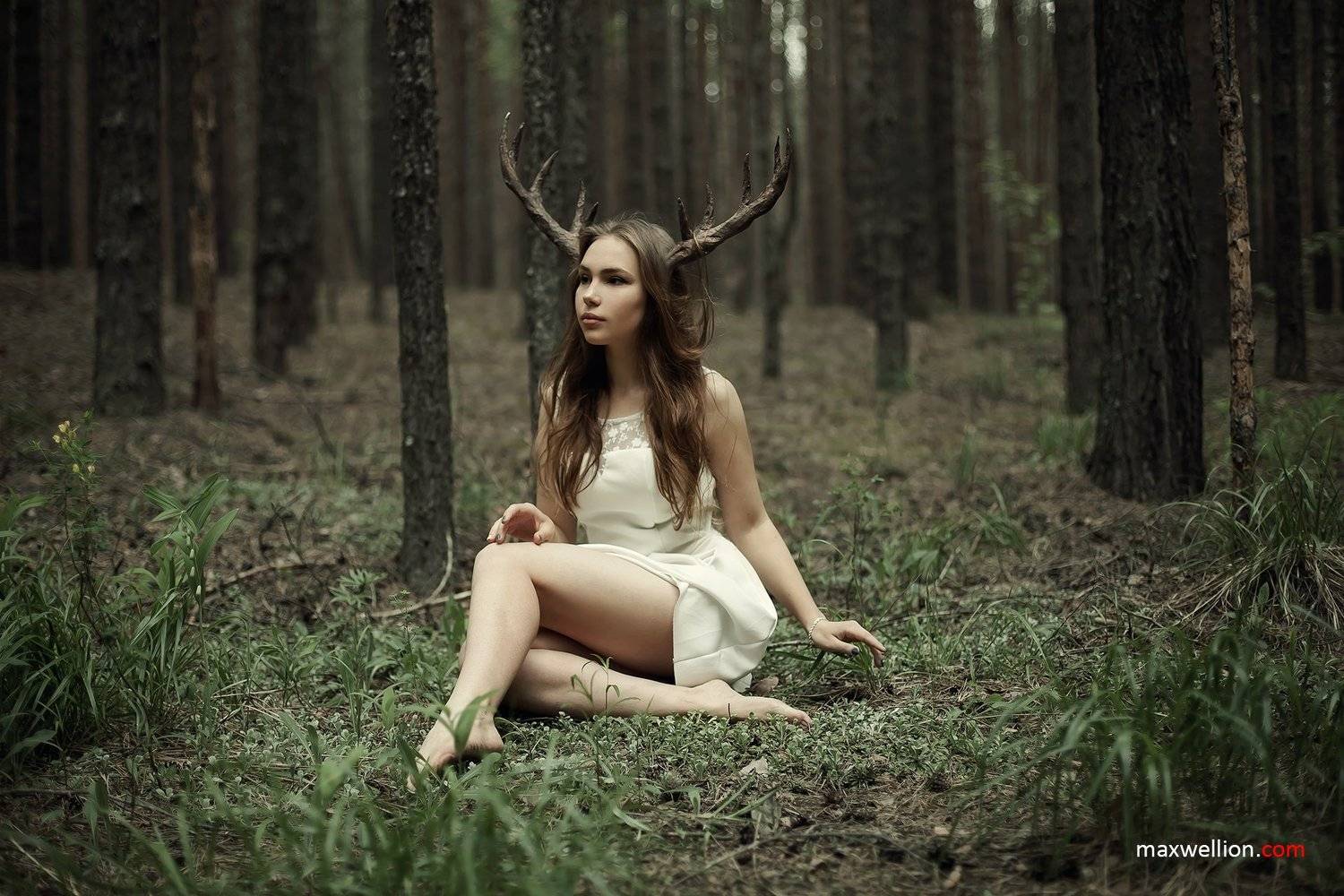 пермь, природа, лес, мистика, Maxwellion