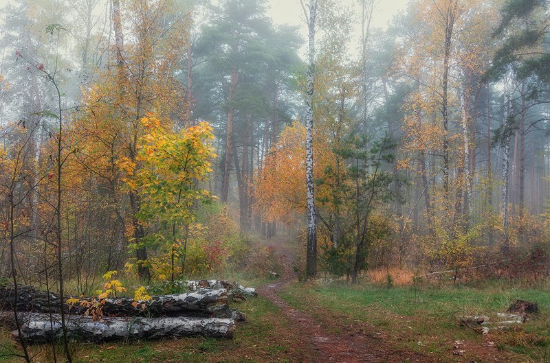 осенними тропинками фото превью