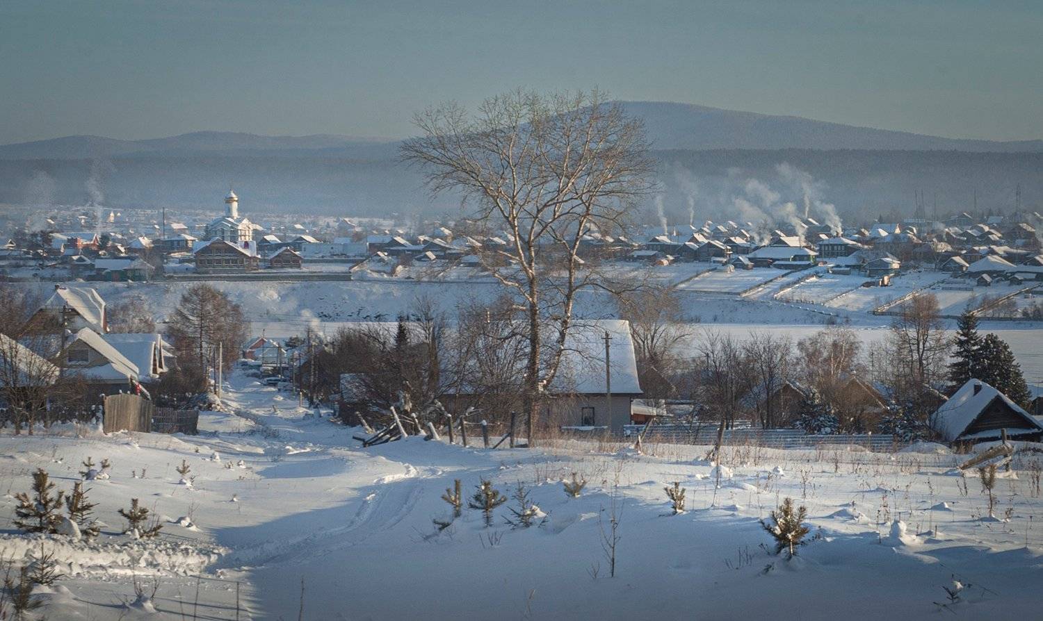 , Александр  Швачко