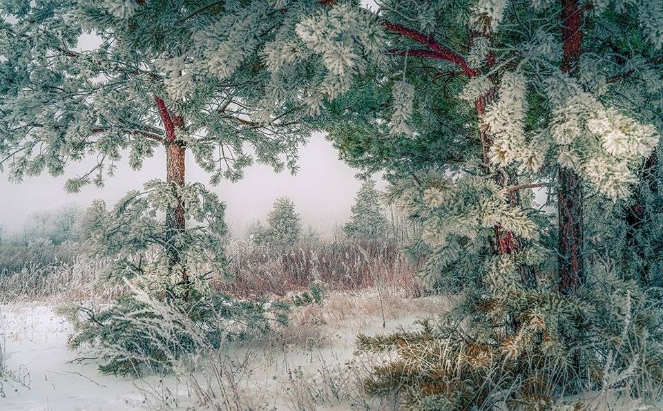 , Игорь Кляхин