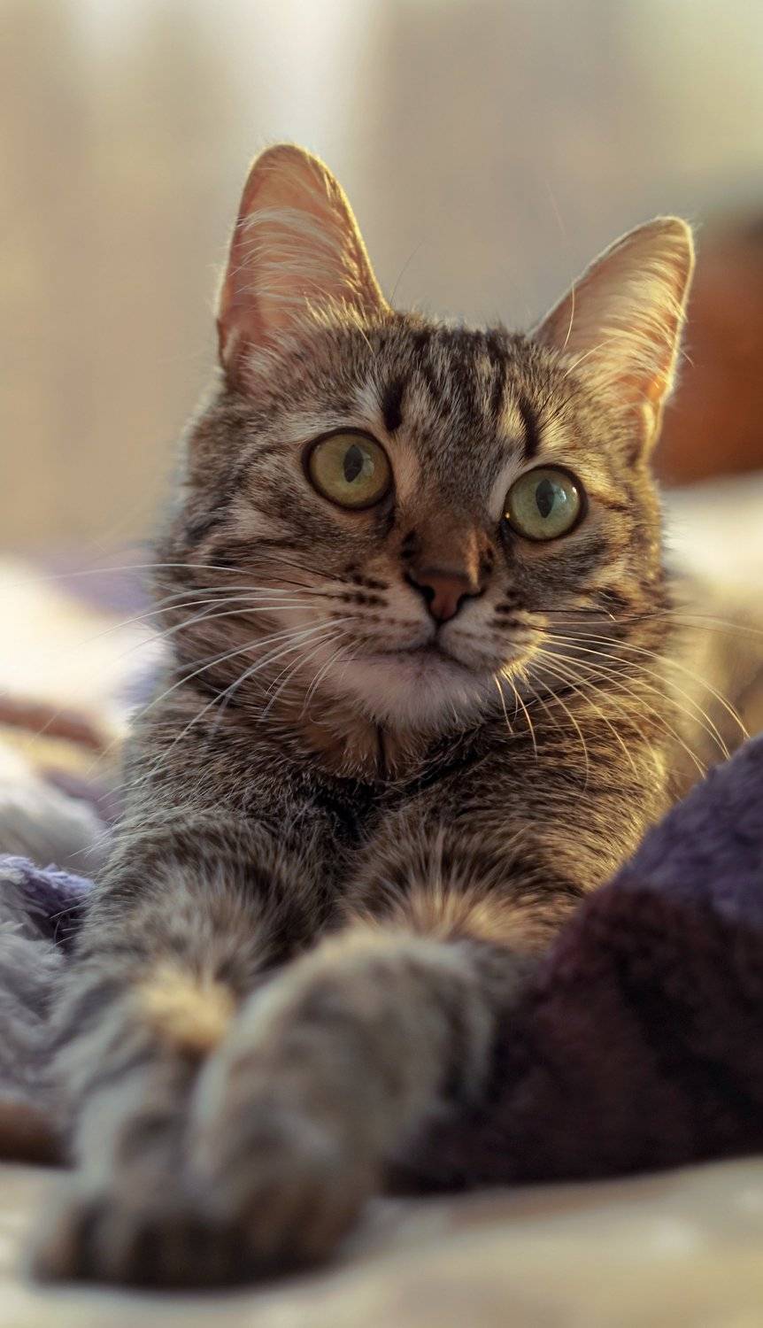 , Светлана Сушкевич