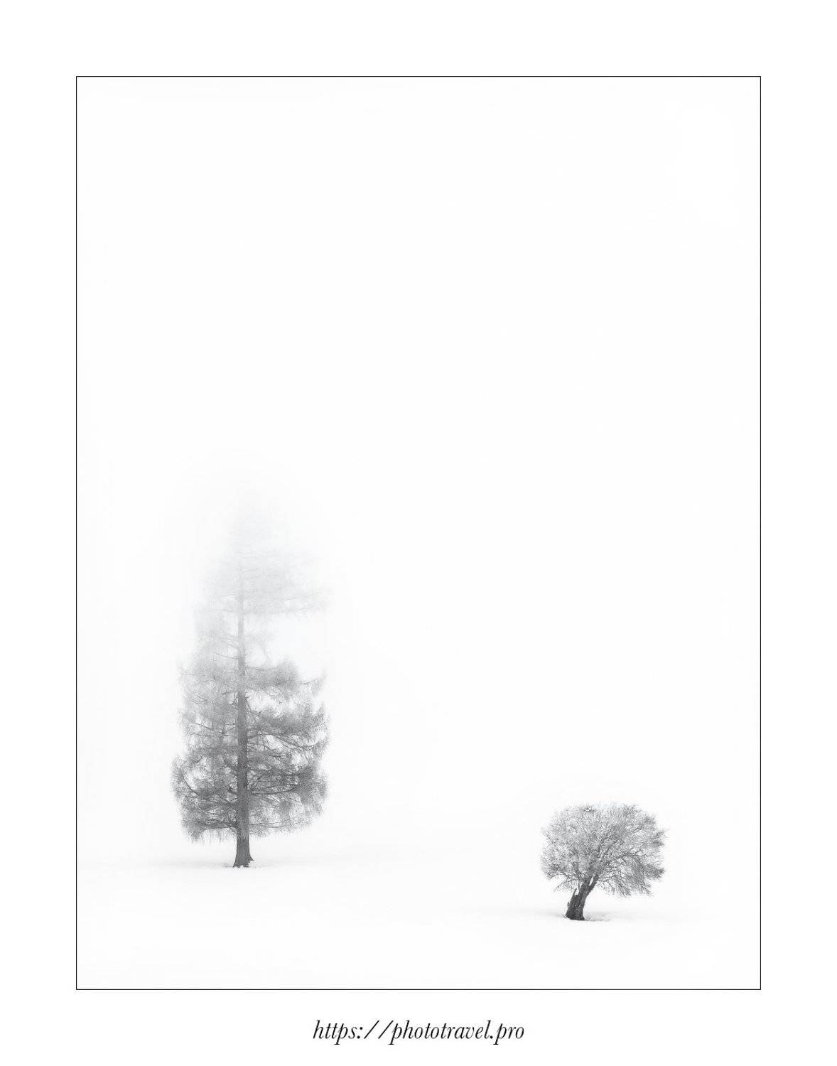 горный алтай, курайская степь, северо-чуйский хребет, толстый и тонкий, а.п.чехов, Влад Соколовский