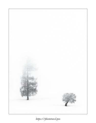 Толстый и Тонкий