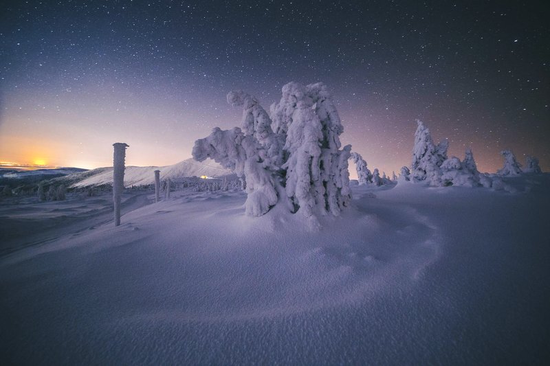 Snow trekkers фото превью