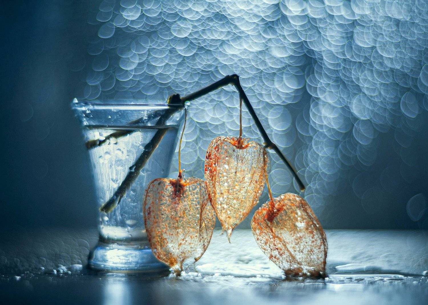 , Владимир Жуков