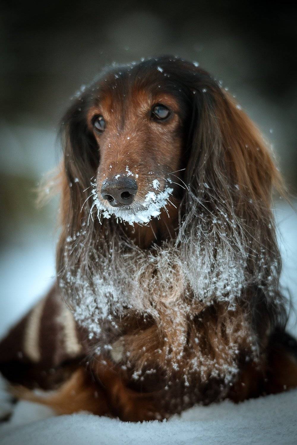 , Андрей Костромин