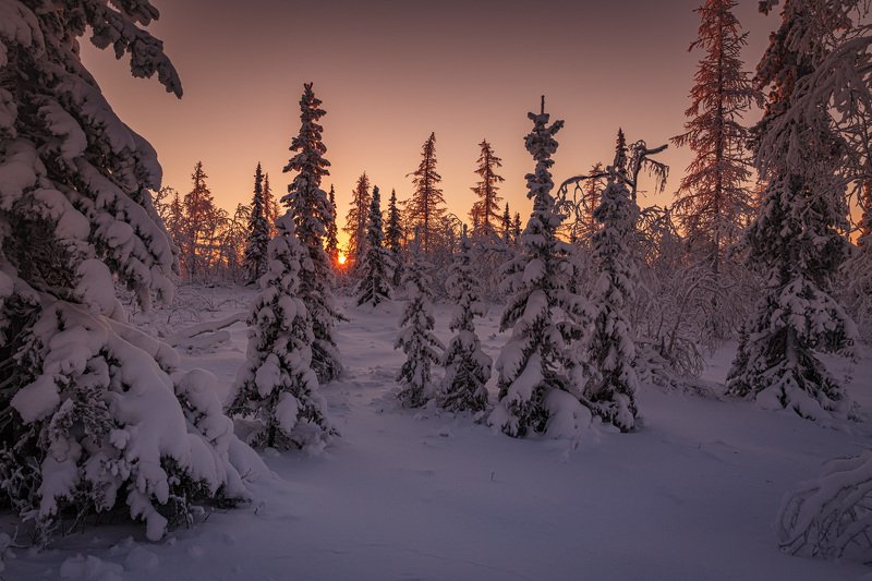 * * * фото превью