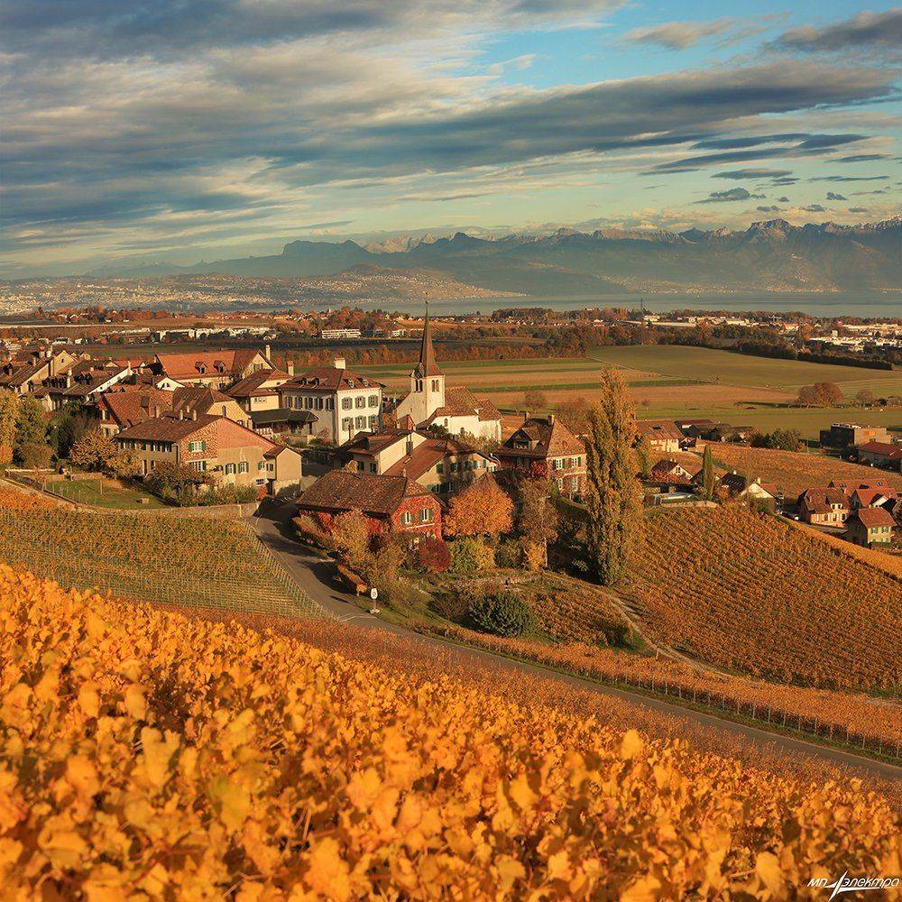 swiss, Матвеев Николай