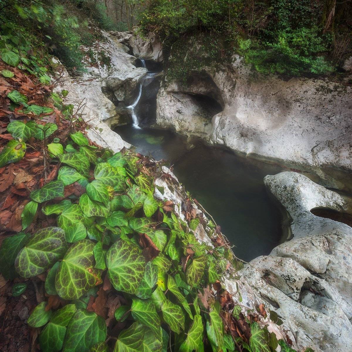агура, краснодарский, край, Алексей Марголин