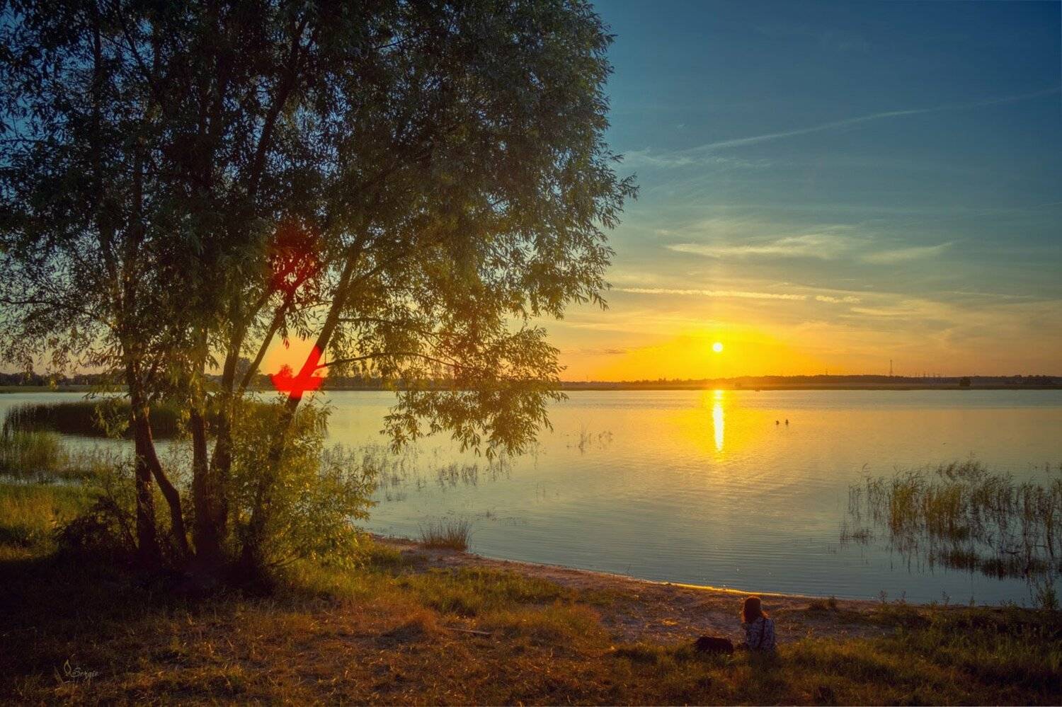 Беларусь, Серж Домбровский